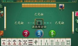 麻将配料爆料方法图解视频,图解视频深度解析