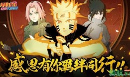 火影最新青水爆料视频大全,揭秘忍者世界新篇章